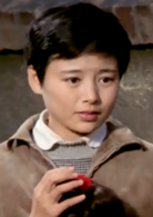 小街(1981年楊延晉執導的電影)