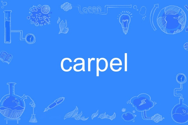 carpel carpel