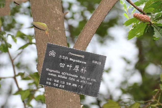 洪塘營56號 洪塘營56號