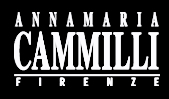 安娜瑪利亞·卡米利logo