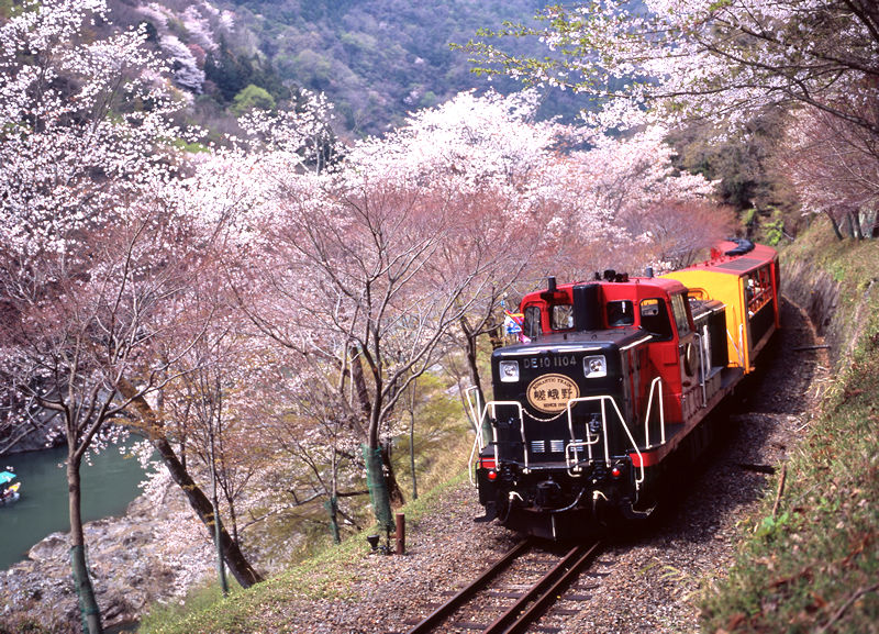 嵯峨野觀光鐵道