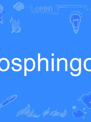 glycosphingolipid glycosphingolipid