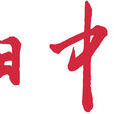 今日中化