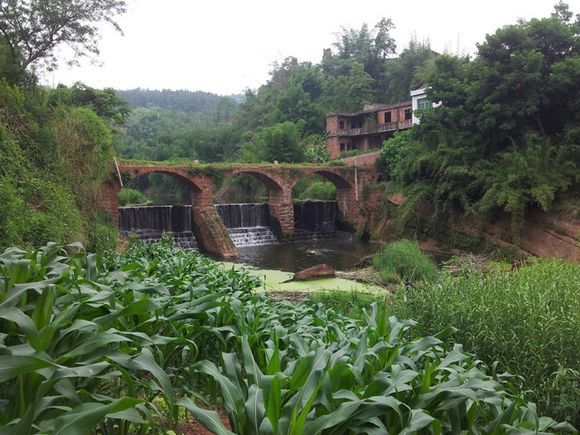 合江村(江西省南康市十八塘鄉下轄村) 合江村(江西省南康市十八塘鄉下轄村)