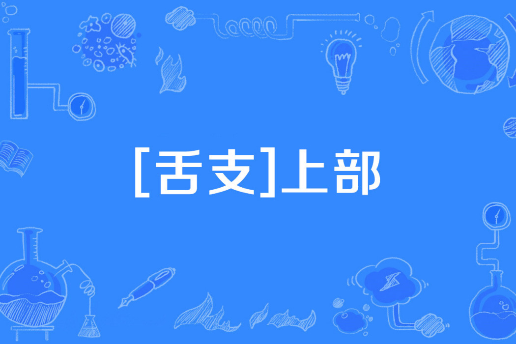 [舌支]上部
