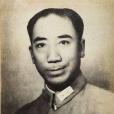 戴藏宜