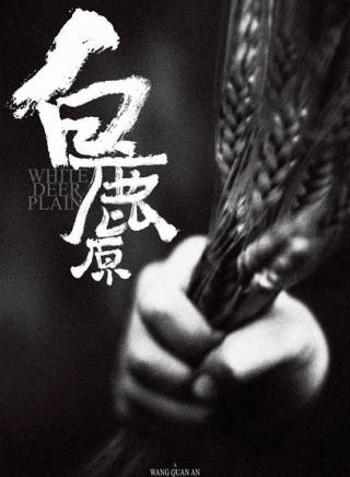 王檸 王檸