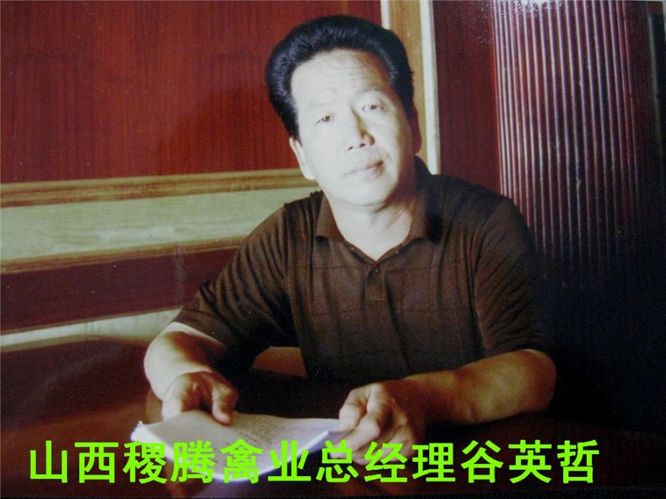 谷英哲 谷英哲