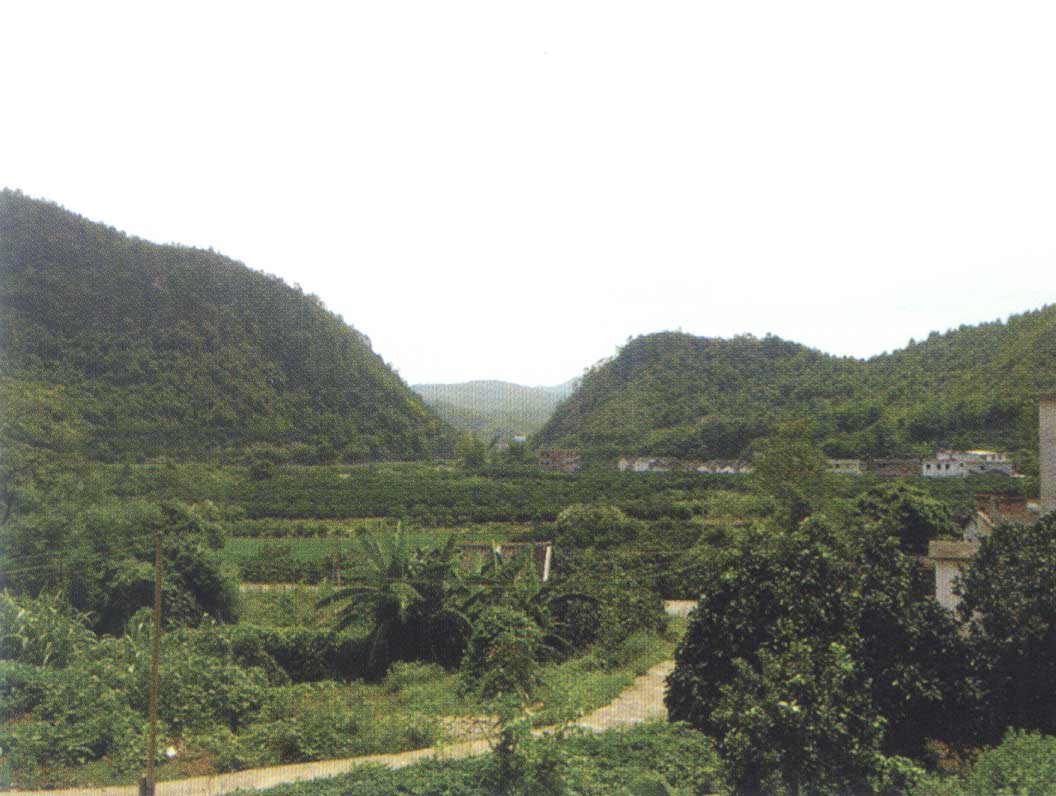 梅教村