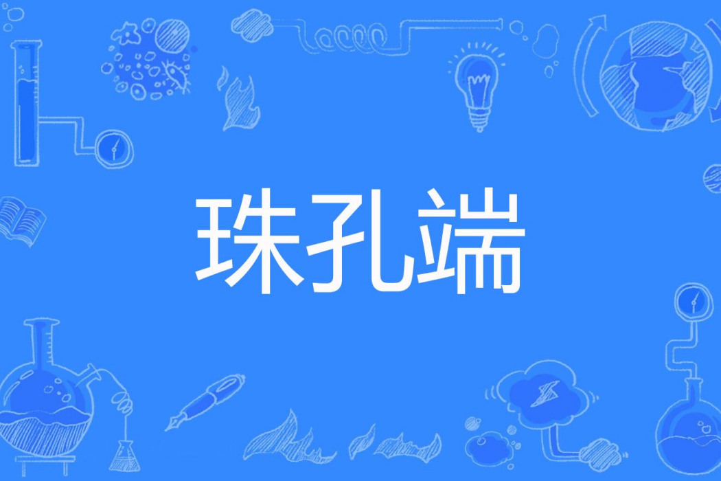珠孔端