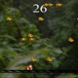 迷你遊戲3 迷你遊戲3
