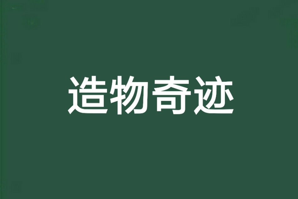 造物奇蹟 造物奇蹟