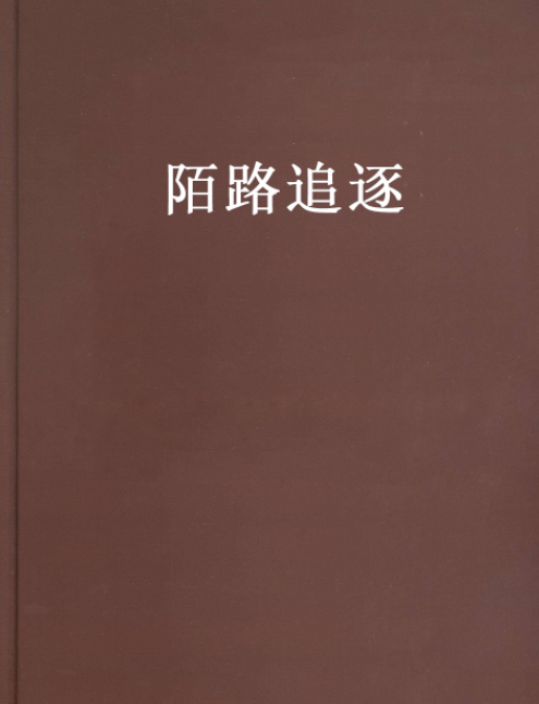 陌路追逐 陌路追逐