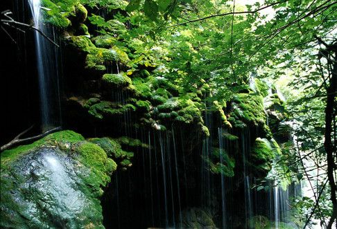 蛇溪峪 蛇溪峪
