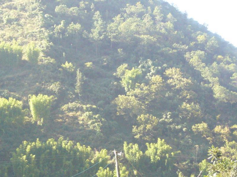 院牆村(雲南省楚雄市大姚縣石羊鎮院牆村) 院牆村(雲南省楚雄市大姚縣石羊鎮院牆村)