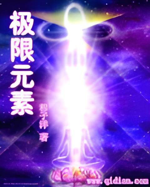 極限元素 極限元素
