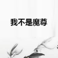 我不是魔尊 我不是魔尊