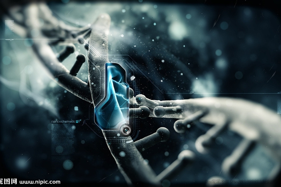 生物的秘密 生物的秘密
