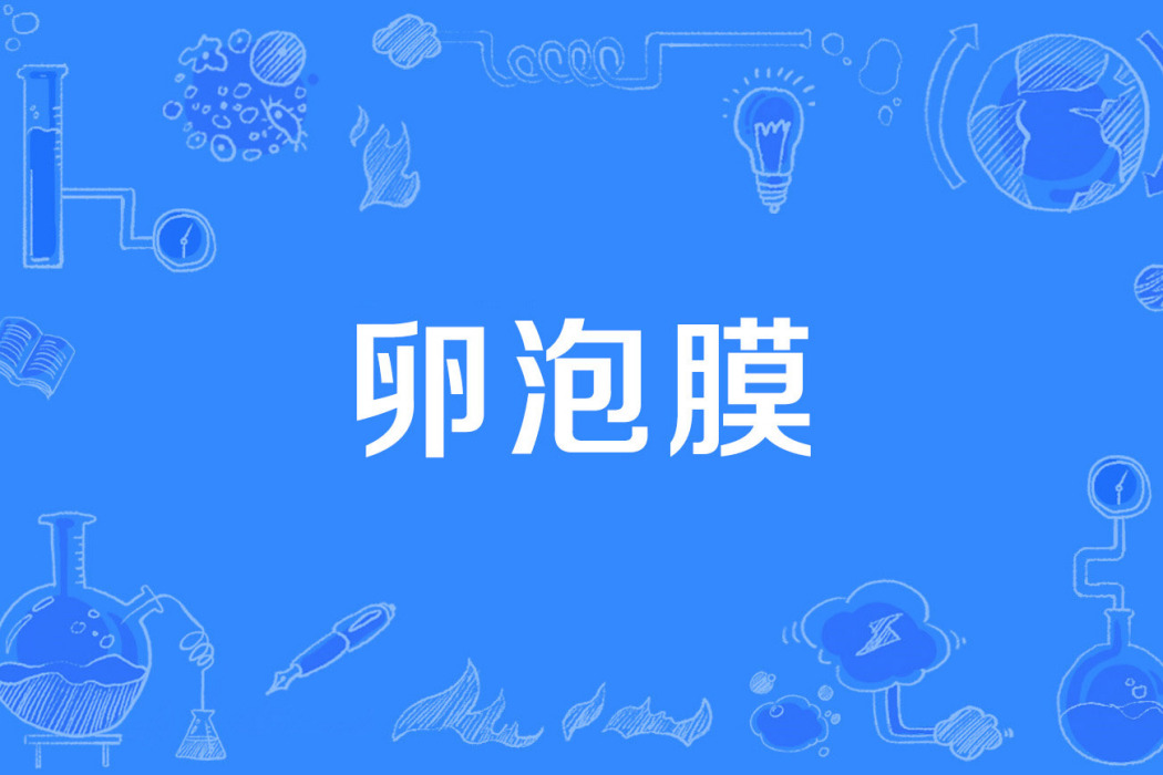 卵泡膜 卵泡膜