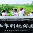張老莊村(杜聿明被俘處蕭縣張莊寨鎮張老莊村)