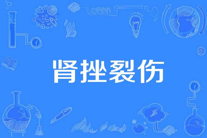 腎挫裂傷 腎挫裂傷