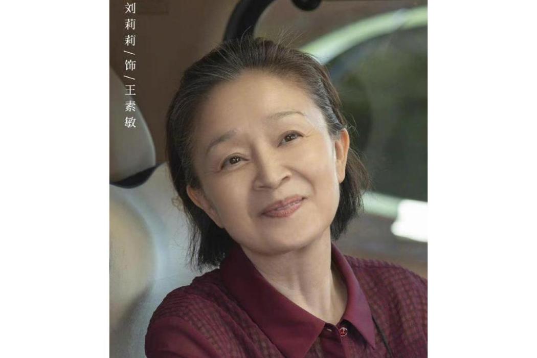 王素敏(電視劇《小敏家》中的女配角) 王素敏(電視劇《小敏家》中的女配角)