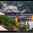 桑浦寺 桑浦寺