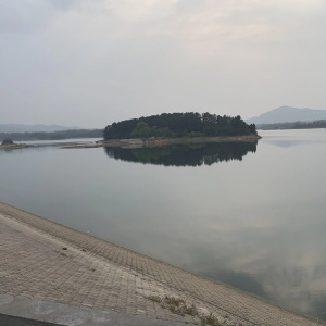楊台水庫