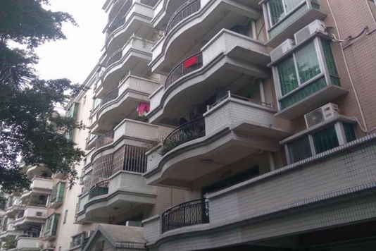 里水麗景苑 里水麗景苑