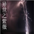 異世之紫微 異世之紫微