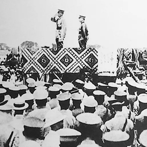 國民革命軍