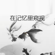 在記憶里窺視