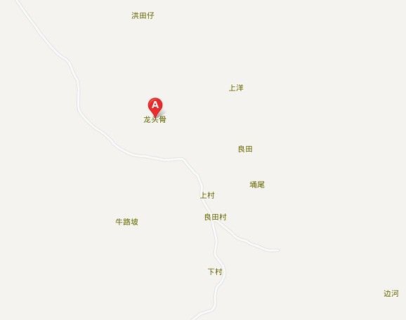 龍頭骨 龍頭骨
