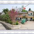 烈女墳村 烈女墳村