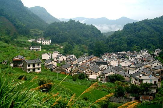 迷慶河村 迷慶河村