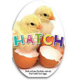 hatch hatch