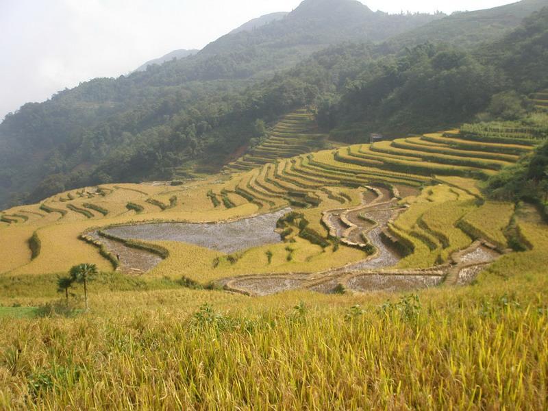 麻栗新寨村 麻栗新寨村