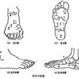 足針 足針