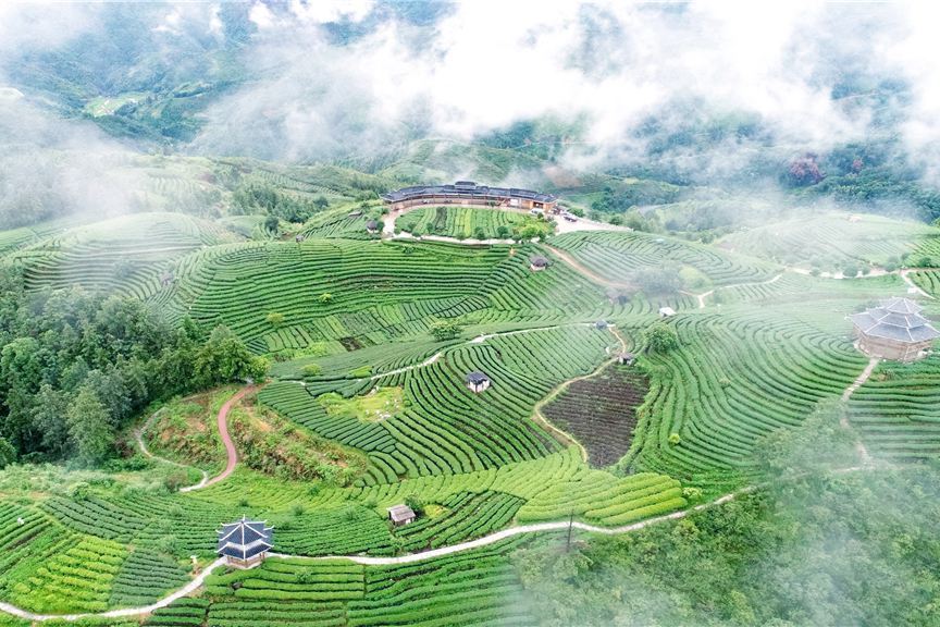 仙人山景區