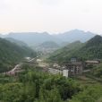 封家村(山東省東營市廣饒縣花官鄉封家村) 封家村(山東省東營市廣饒縣花官鄉封家村)