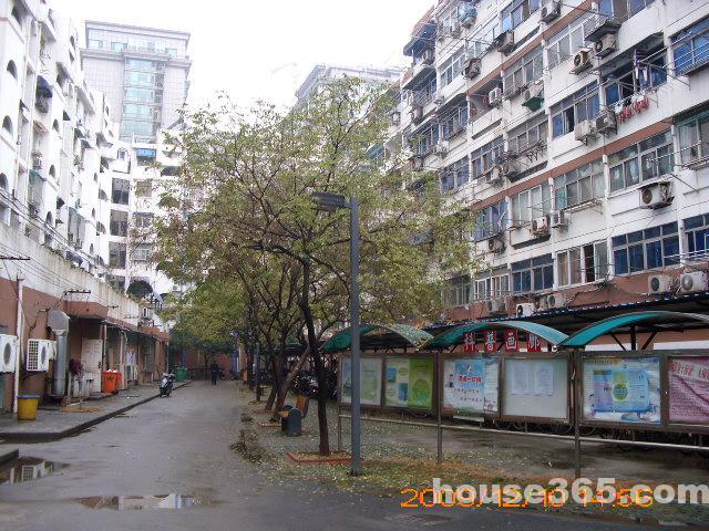 水佐崗 水佐崗