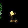 飛蛾撲火(華少翌演唱歌曲) 飛蛾撲火(華少翌演唱歌曲)