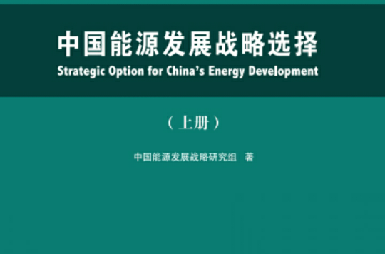 中國能源發展戰略選擇（上、下冊）