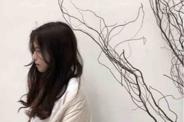 王昕(自由藝術家) 王昕(自由藝術家)