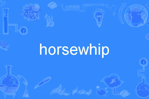 horsewhip horsewhip