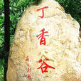 丁香谷 丁香谷