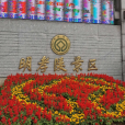 明孝陵景區 明孝陵景區