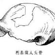 利基猿人 利基猿人