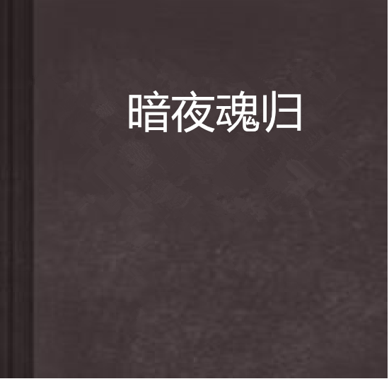 暗夜魂歸 暗夜魂歸