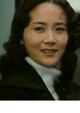 逆光(1982年丁蔭楠執導的電影)
